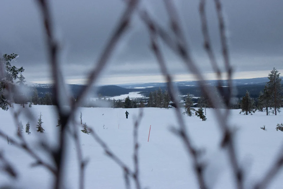 Verschneite Landschaft mit vereinzelten Bäumen und einer Person in der Ferne im Pallas-Yllästunturi-Nationalpark, Finnland.