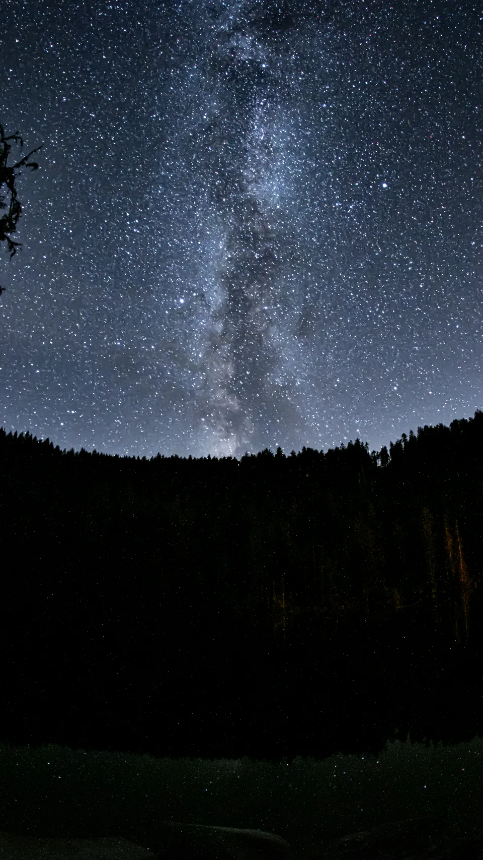Sternenklare Nacht mit sichtbarer Milchstraße über einem dunklen Wald am Glaswaldsee im Schwarzwald.