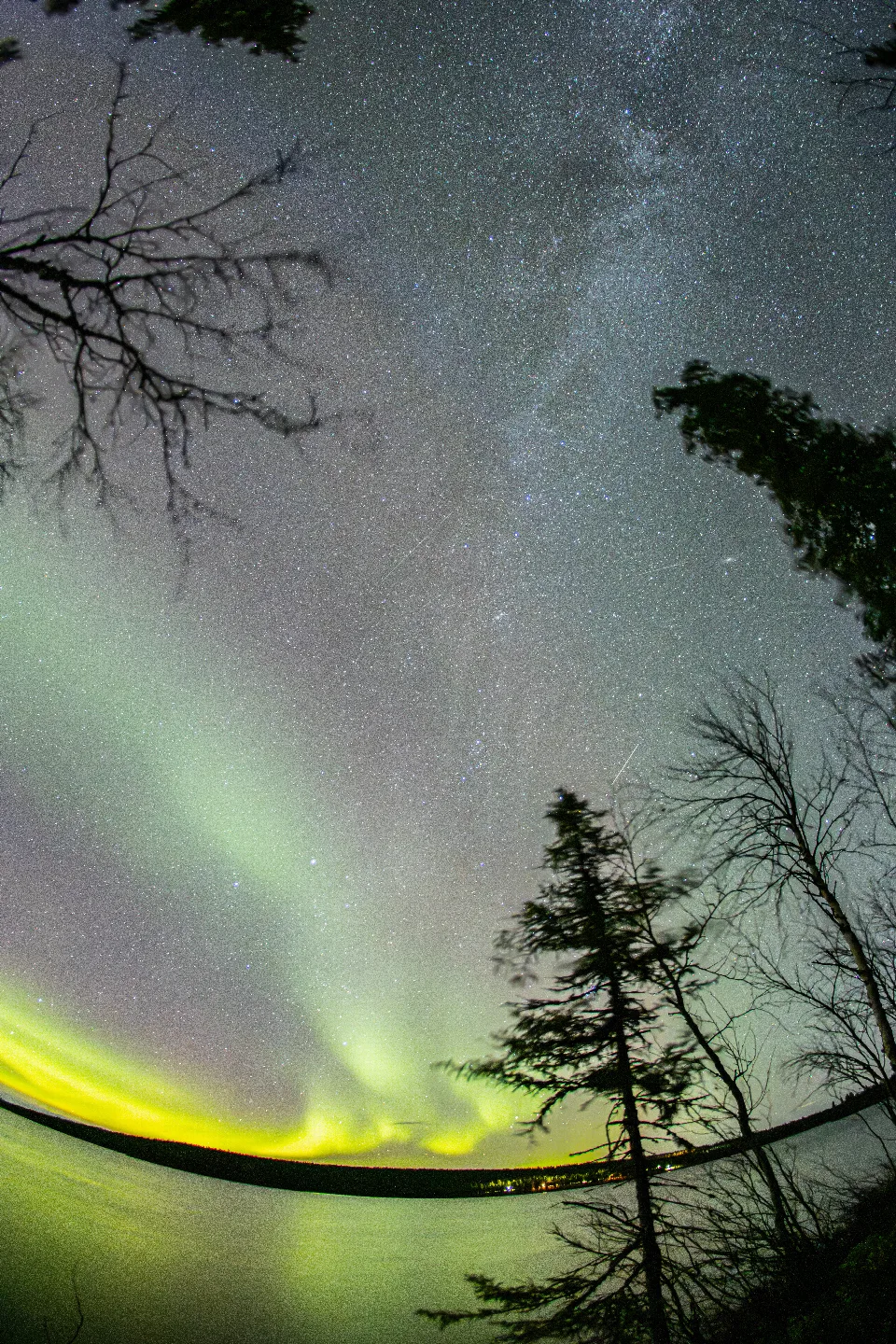 Leuchtendes Nordlicht und sichtbare Milchstraße am Sternenhimmel über einem See, mit dunklen Bäumen im Vordergrund am Särkijärvi in Finnland.
