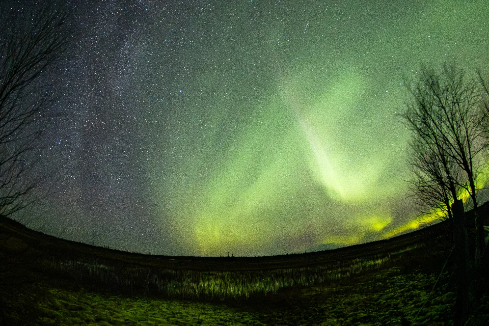 Grüne Nordlichter und die Milchstraße am sternenklaren Nachthimmel über einer dunklen Landschaft mit kahlen Bäumen am Ufer des Ilmakkijärvi-Sees in Finnland.